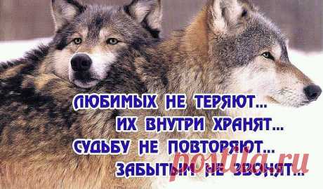 Одноклассники