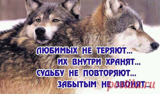 Одноклассники