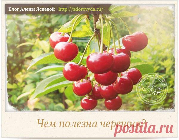 Чем полезна черешня - целебные свойства ягоды для нашего здоровья