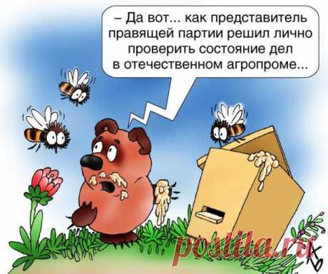 - Мужик! Ты давай или вешайся, или освобождай табуретку