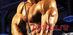 Как накачать трицепсы? | Sport My Way | Sport - My Way