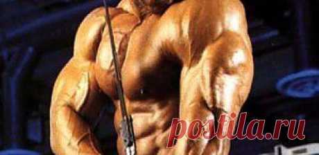 Как накачать трицепсы? | Sport My Way | Sport - My Way
