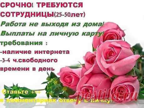НОВОЕ НАПРАВЛЕНИЕ В БИЗНЕСЕ)