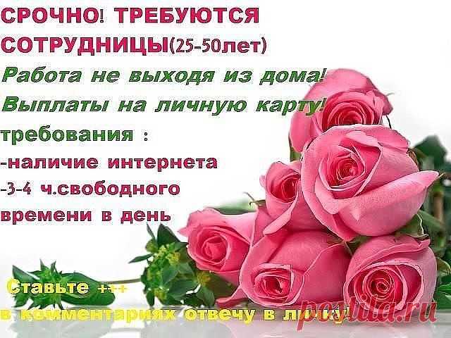 НОВОЕ НАПРАВЛЕНИЕ В БИЗНЕСЕ)