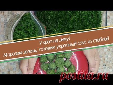 УКРОП НА ЗИМУ - укропный соус, заморозка укропа, кубики из укропного соуса для борща