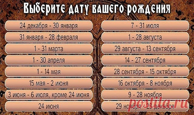 Одноклассники