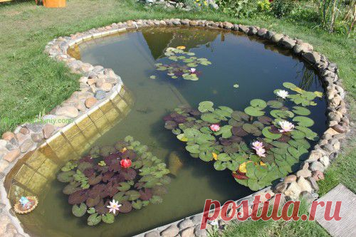 Как сделать искусственный пруд. Автор Петр Кусков. | Урожайная дача