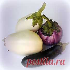 Баклажаны
