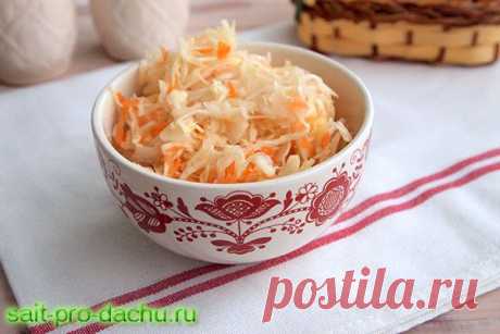 Очень вкусная квашеная капуста по-кубански