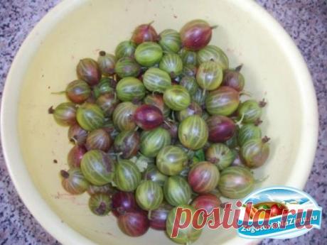 Соус из крыжовника на зиму. Рецепт с пошаговыми фото