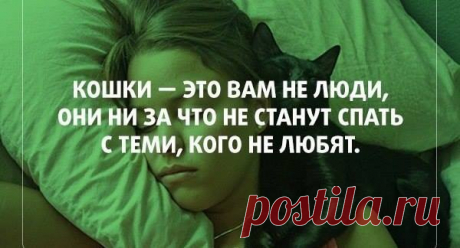 Сильные фразы!!! / Pinme
