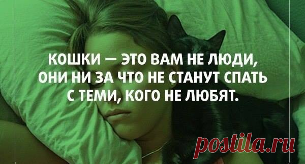 Сильные фразы!!! / Pinme