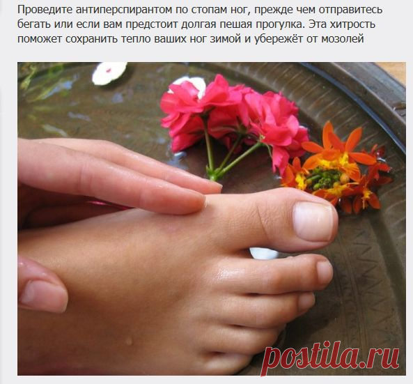 Отличные советы, которые сделают жизнь проще | Это интересно!