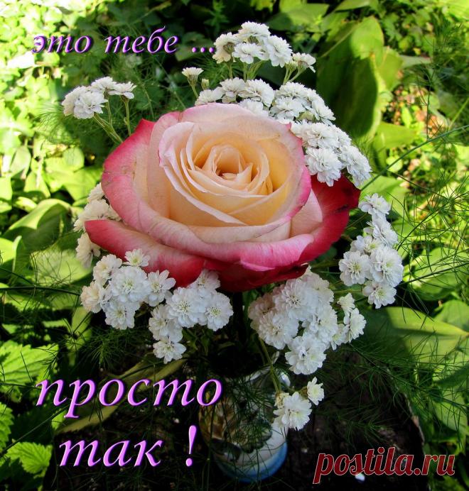 Плейкаст «Я ДАРЮ ВАМ УЛЫБКУ»