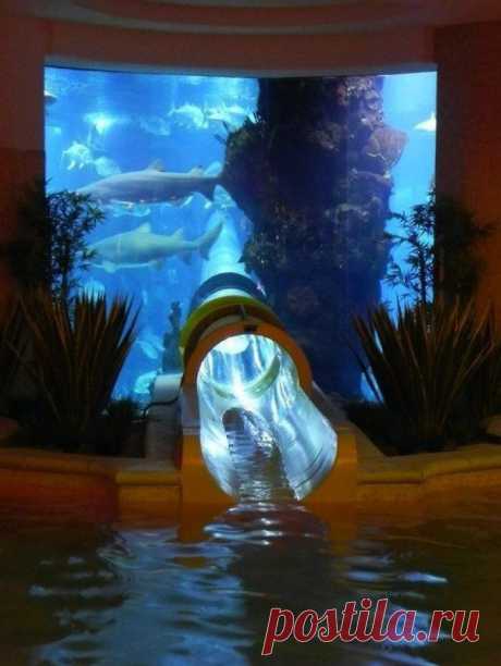 Фото группы | Фотографии Идеи для жизни | 6867 фото | Группы Мой Мир