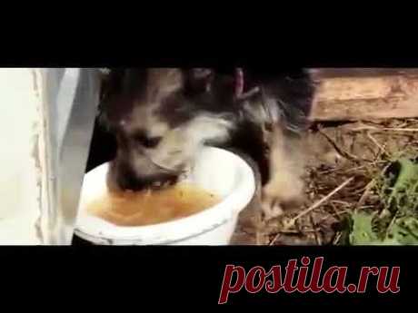 Господь не спросит..