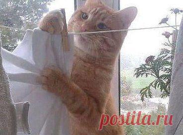 Одноклассники