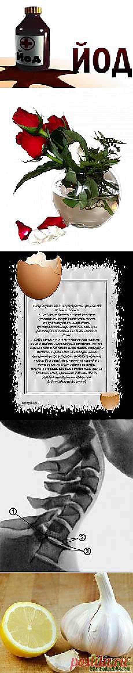 Ирина Никитина: народные рецепты здоровья | Постила.ru