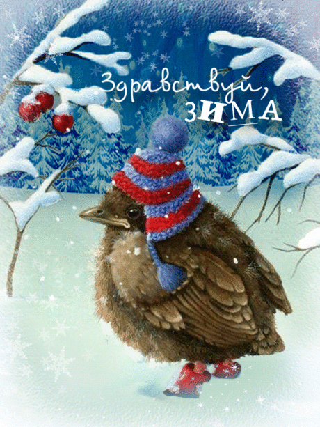 animated, animation, gif анимация, illustration, mira, word art, анимации, блеск, гифка, звезды, картина, мои анимации, надписи, открытки, птичка, снег, текст, футажи, штамп