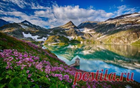 красивые фото на рабочий стол: 21 тыс изображений найдено в Яндекс.Картинках