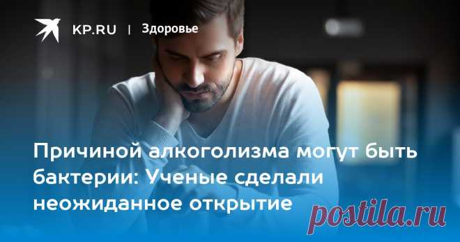 2024--Причиной алкоголизма могут быть бактерии: Ученые сделали неожиданное открытие Биолог Эндрю Дэй: причиной алкоголизма может быть нарушение микробиома кишечника