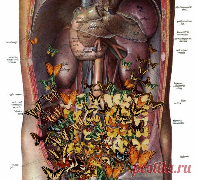 Это упражнение упражнение для спины и живота Кацудзо Ниши предотвращает практически все заболевания