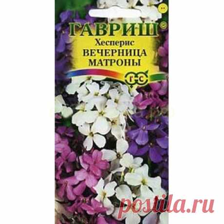 Хесперис Вечерница Матроны смесь (Гавр) - Каталог - Семена для сибири