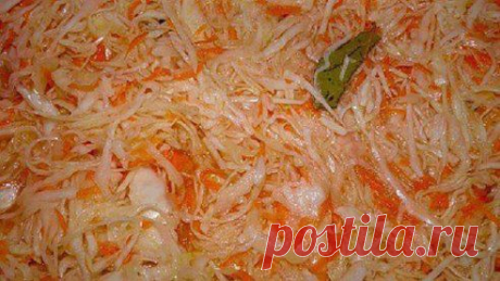 Быстрая квашеная капуста