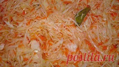 Быстрая квашеная капуста