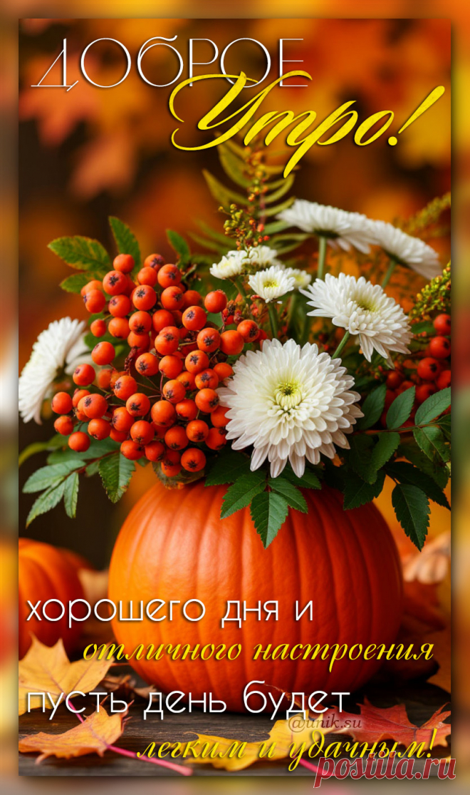 с добрым утром картинки красивые с пожеланиями