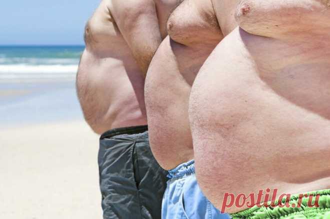 Уже через 30 лет, более 4 миллиардов человек будут иметь ожирение
Изображение взято с сайта «Российская газета» — https://rg.ru/ Всем привет! Недавно прочитал исследование Потсдамского университета в Германии, с помощью которого, ученые показали модель развития ожирения у людей в течение 30 лет. В первую очередь это связано с теми проблемами, которое в данный момент испытывает здравоохранение,...
Читай пост далее на сайте. Жми ⏫ссылку выше