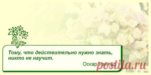 Мысли вслух