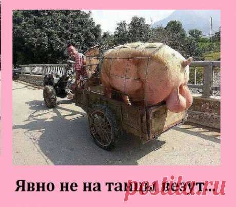 Народное экспромтное творчество 43. | Приколисты