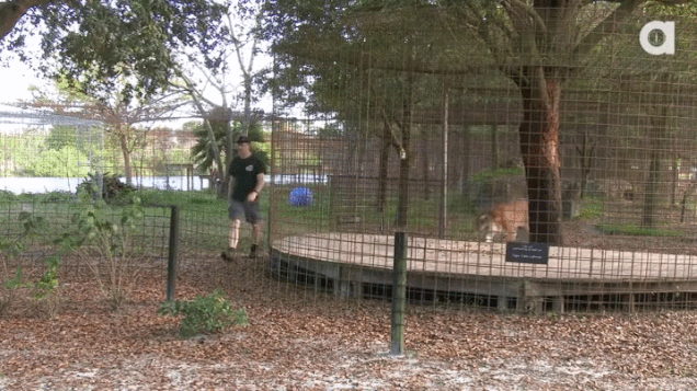 ШУТКИ ОТ ДЖЕКА