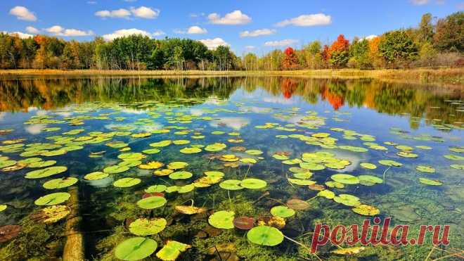 Зеркальное отражение осени в воде! Буйство осенних красок над зеркалом озер! - Блог Три и ночка