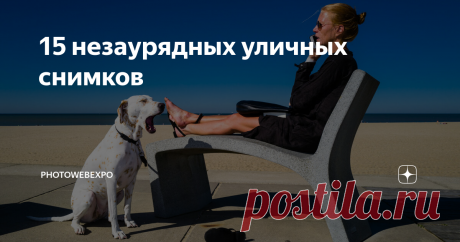 15 незаурядных уличных снимков Журнал All About Photo недавно выпустил свое 15-е издание, в котором редакторы хотели показать лучшее из стрит-фотографии. Этот выпуск журнала называется "Улицы" и включает в себя работы современных уличных фотографов из 12 разных стран мира.
Опубликованные фотографии были отобраны за их способность «улавливать решающие моменты», а также за то, что они позволяют зрителям «стать частью их историй»
