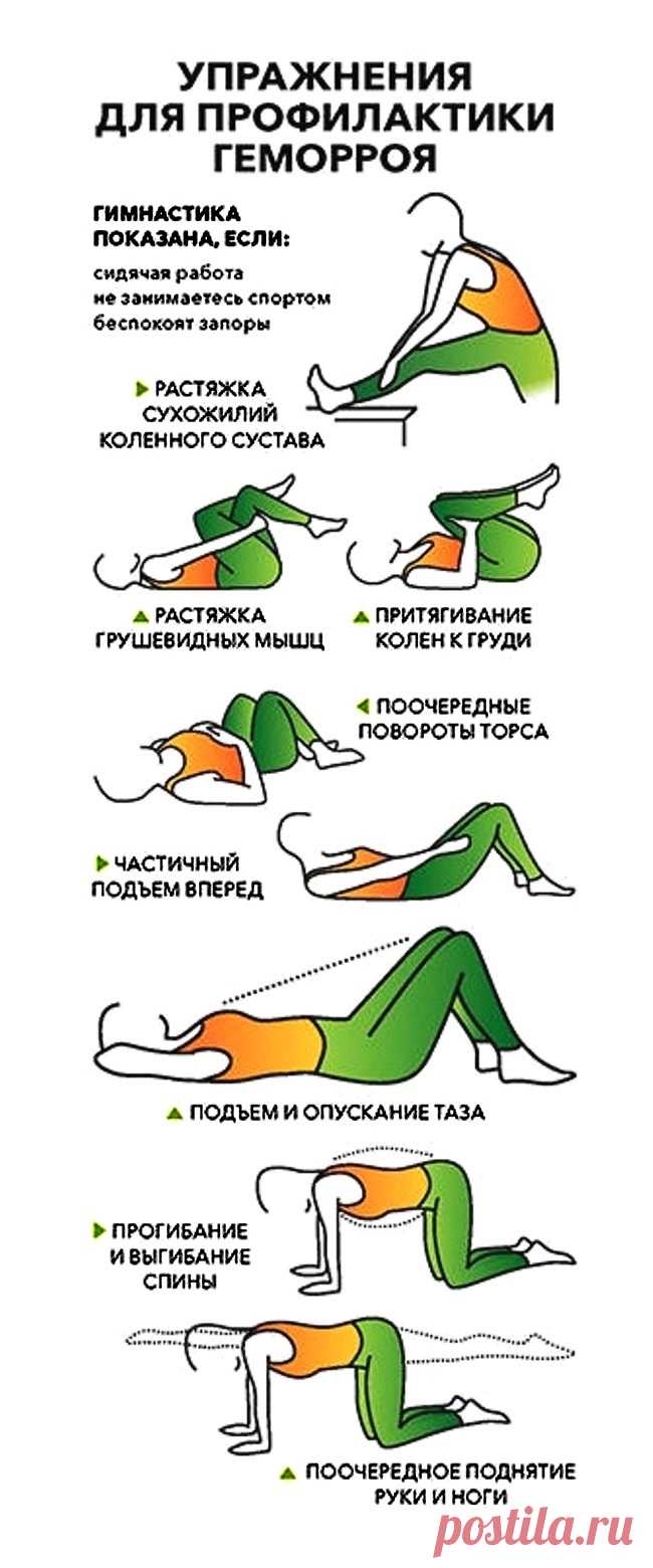 Упражнения для профилактики геморроя