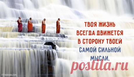 Одной фразой