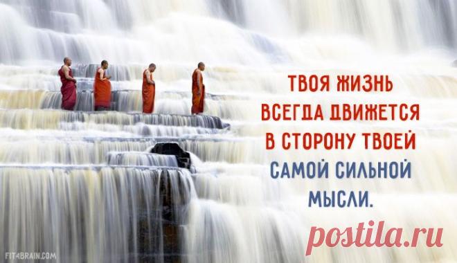 Одной фразой