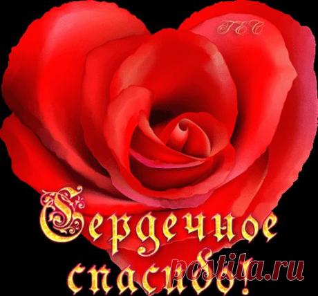 Анимашки, анимированные gif картинки - Красивая анимация на Logif.ru