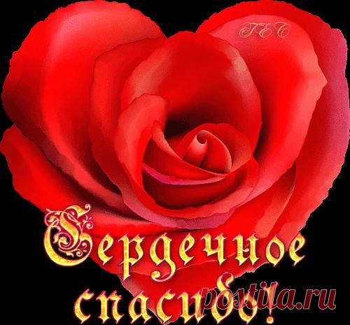 Анимашки, анимированные gif картинки - Красивая анимация на Logif.ru