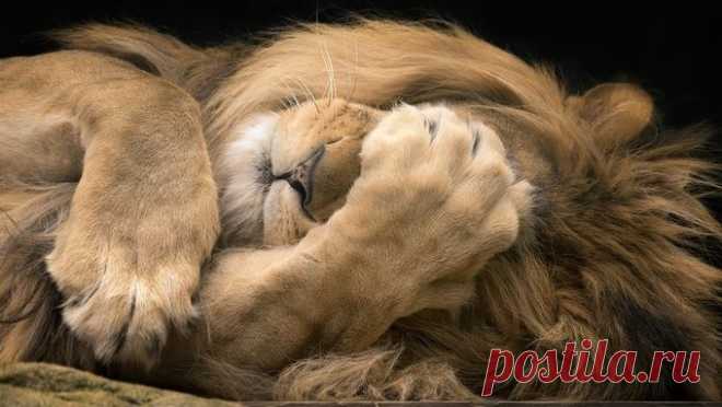 Find more photo inspiration at ViewBug — карточка от пользователя Elrey Delmundo в Яндекс.Коллекциях