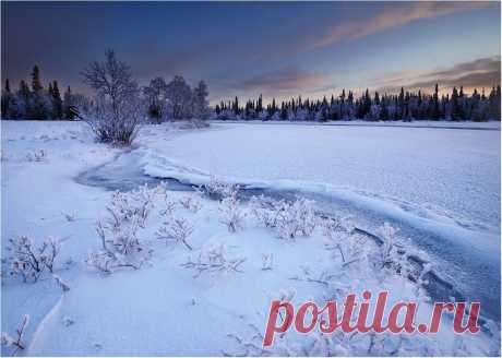 35PHOTO - Roman Goryachiy - засыпала Умба