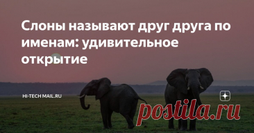 Слоны называют друг друга по именам: удивительное открытие Статья автора «Hi-Tech Mail» в Дзене ✍: Ученые выяснили, что слоны, вероятно, оказались единственными животными, кроме людей, которые называют друг друга по именам.