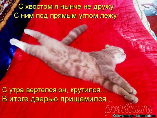 kotomatritsa_4-.jpg (Изображение JPEG, 750 × 562 пикселов)