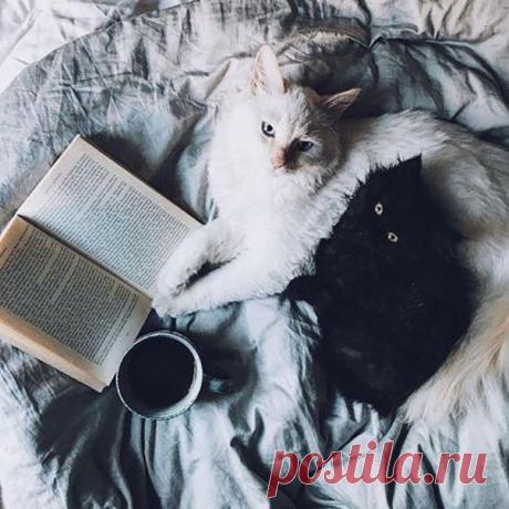 ~☽✪☾~Книга Колокол Свеча~☽✪☾~