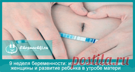 Девятая неделя беременности - как выглядит и развивается малыш?