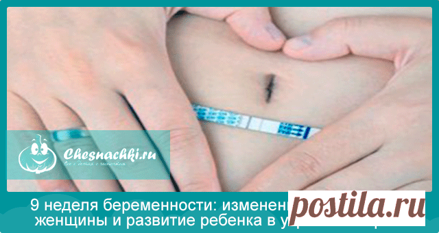Девятая неделя беременности - как выглядит и развивается малыш?