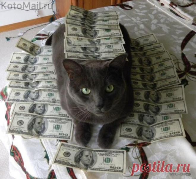 АХ денежки...