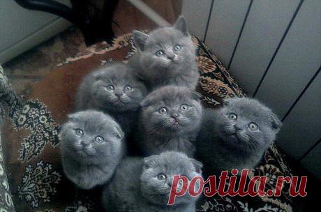 Антидепресанты